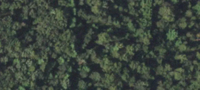 Lots & Acreage / Rural