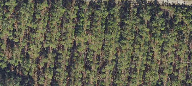 Land