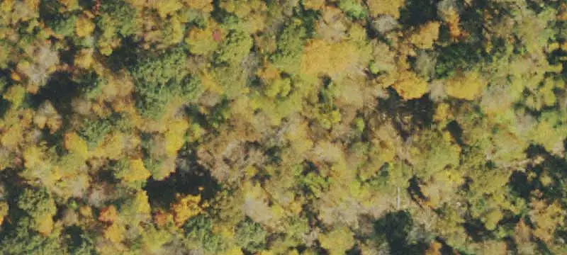 Wooded Land with Mountain Views