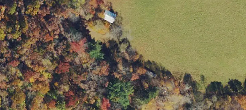 Wooded Hunting Land with Creek