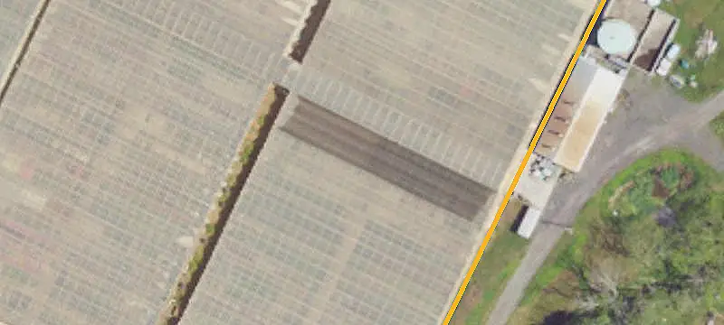 Commercial Greenhouse Farm
