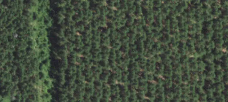 Corner Land Parcel