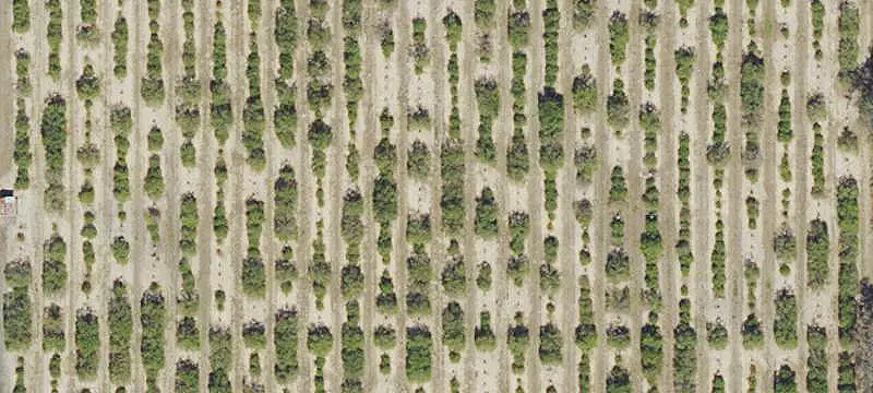 Land