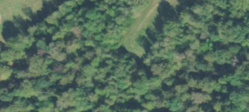 Wooded Land with Creek