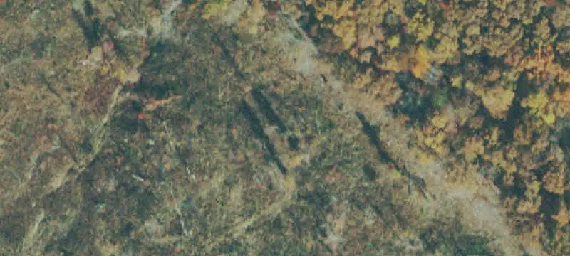 Hunting Land with Stocked Pond