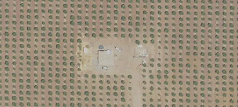 Pistachio Farm with Residence
