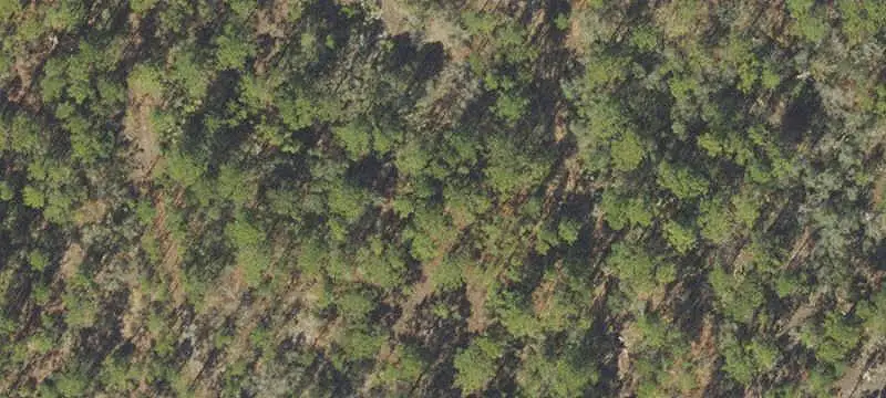 Double-Lot Land Parcel