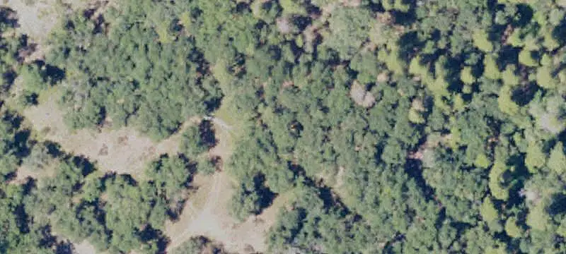 Forest Waterfront Land