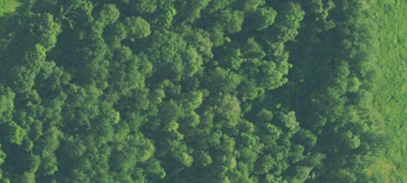 Pasture and Wooded Farmland