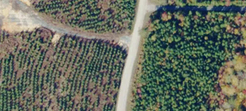 Land Parcel
