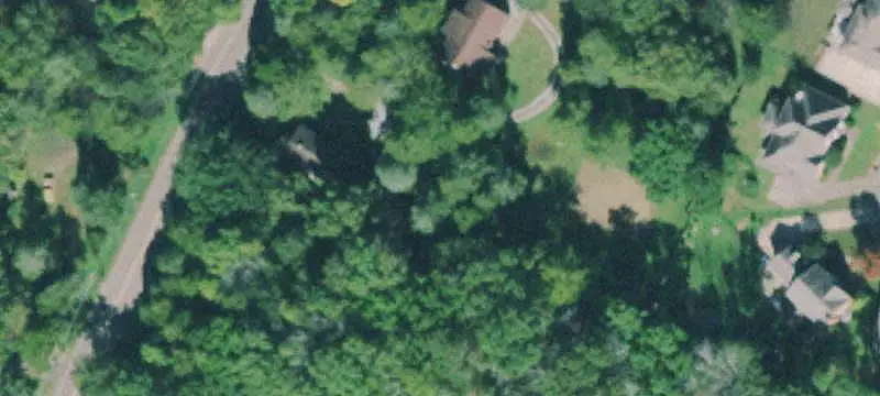 Partially Cleared Land