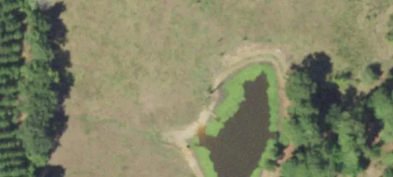 Agricultural Land with Spring-Fed Pond