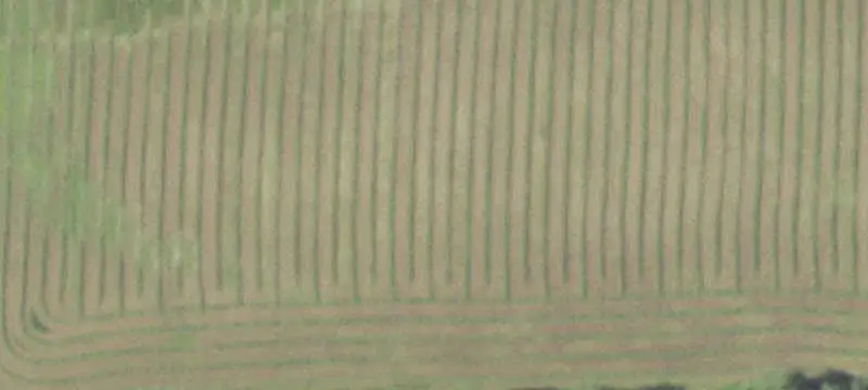 Vacant Land / Vacant Land