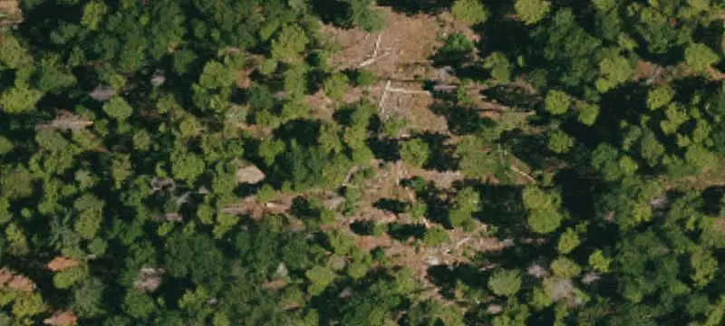 Forested Ridgetop Land