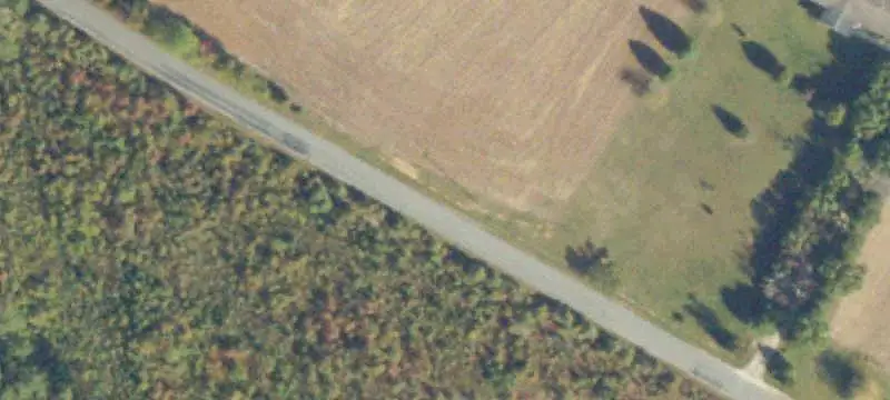 Recreation Land with Planted Trees