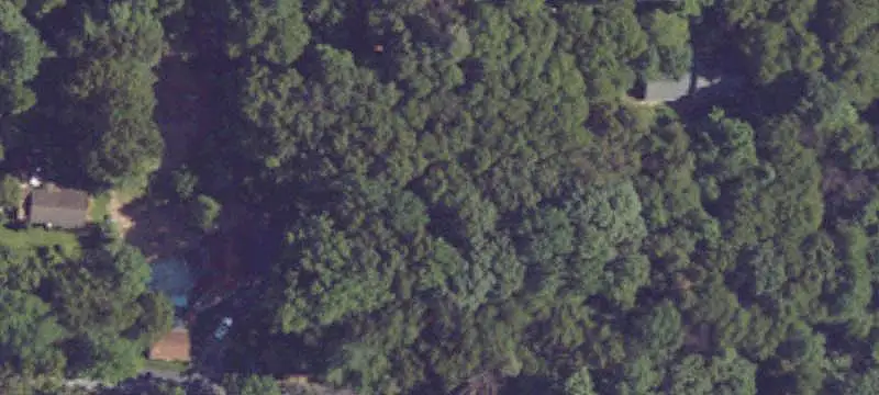 Wooded Hunting Land