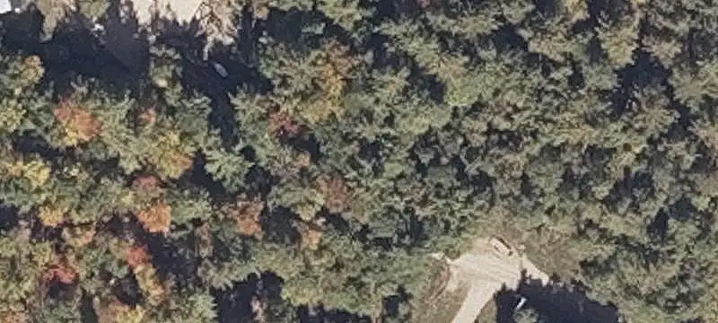 Woodland Land with Stream