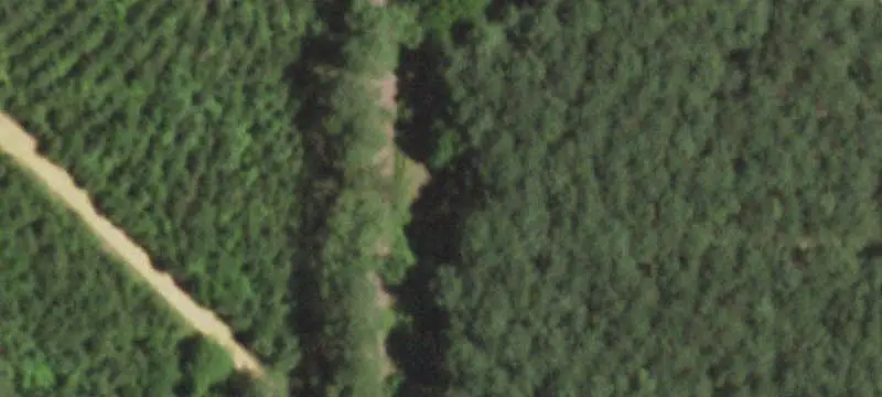 Timberland Tract With Cabin