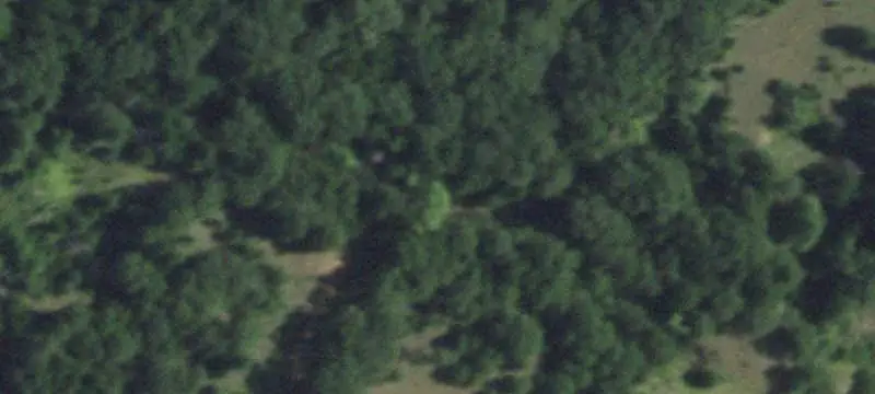 Equestrian Property with Trail Access