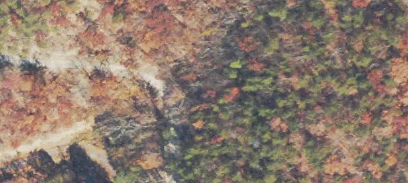 Land / Land (Acreage)
