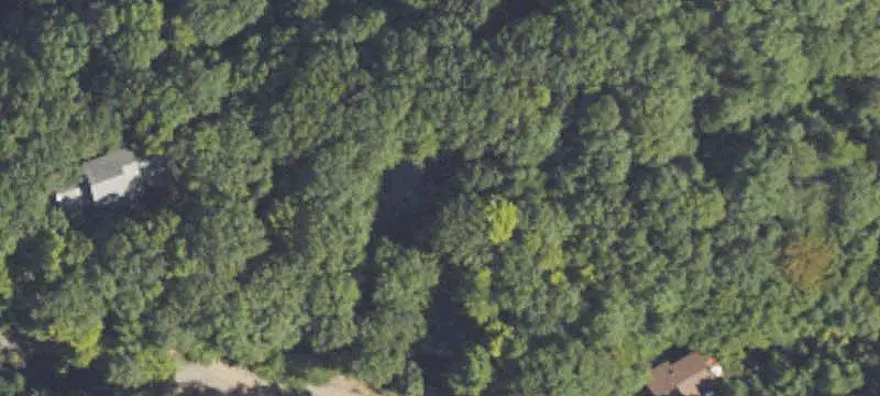 Land / Lot