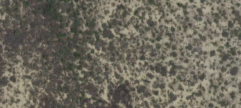 Horse Property with Arena