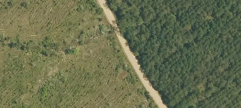 Hunting Land with Conservation Easement