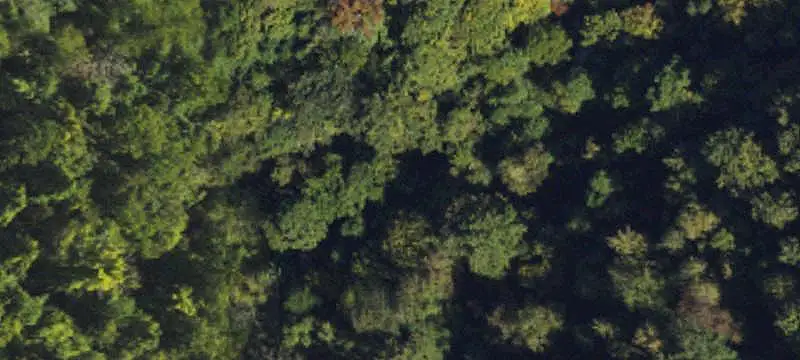 Lot-Land