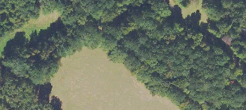 Wooded Hunting Land with Creek