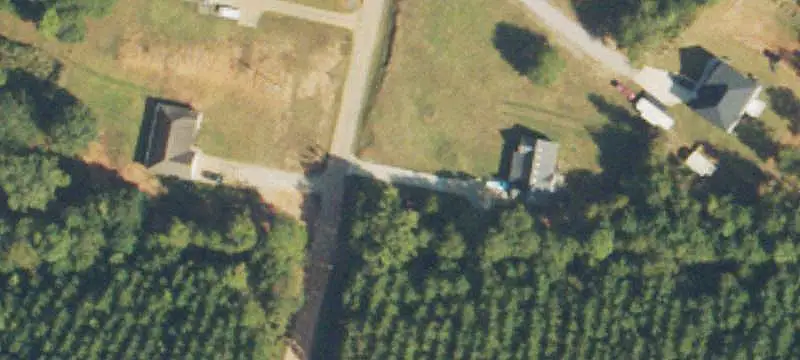 Managed Loblolly Pine Farmland