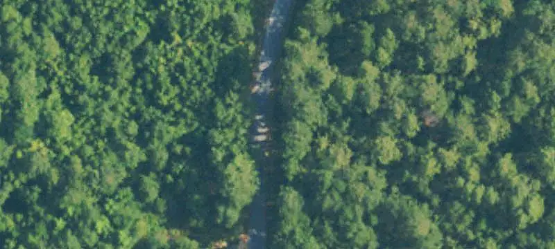 Wooded Recreational Land