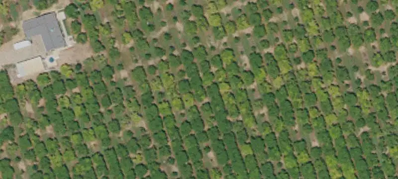 Walnut and Cherry Farm
