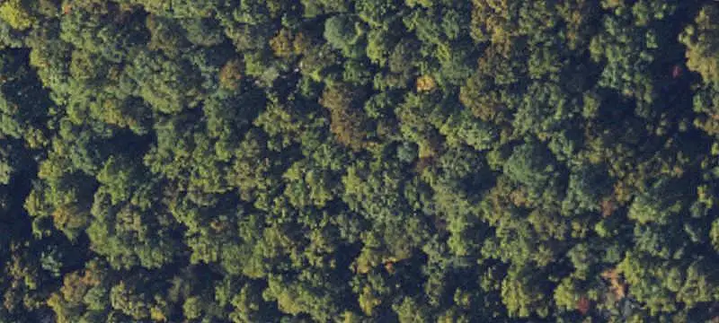 99999 Chastain Road, Scaly Mountain, NC 28775