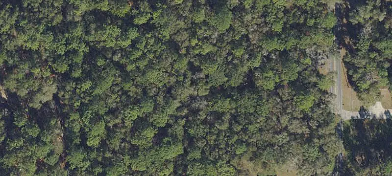 Lots/Land