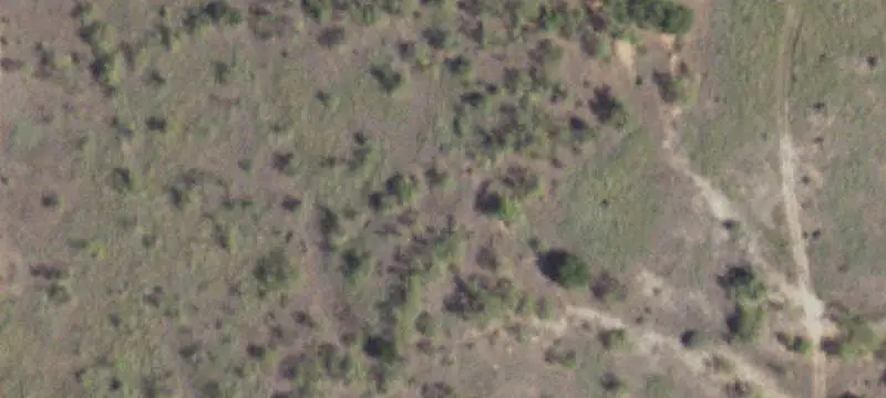 Land