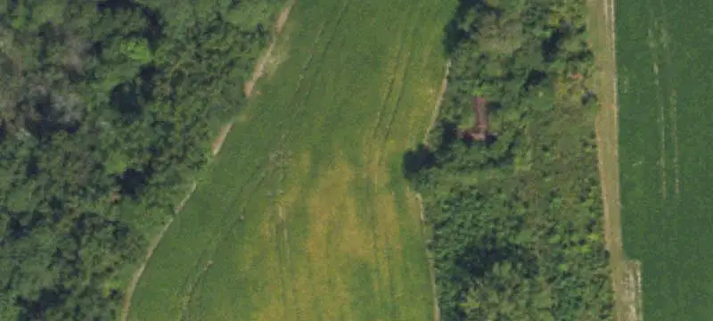 Agricultural Land with Road Frontage