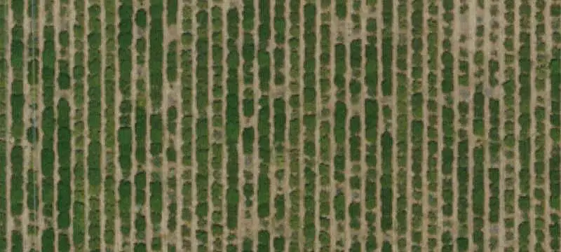 Agricultural Land with Commercial Zoning