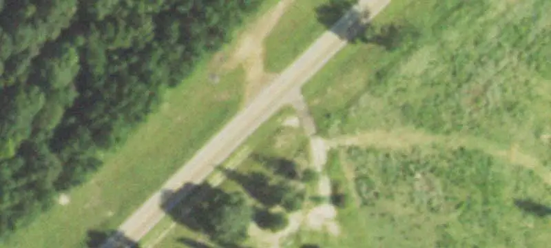 Pine Plantation Hunting Land