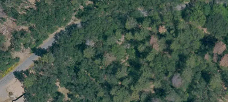 Lots/Land