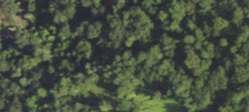 Farm