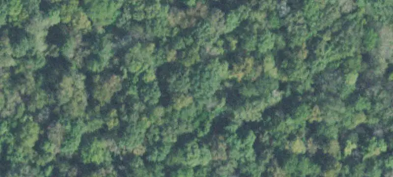 Land / Unimproved Land