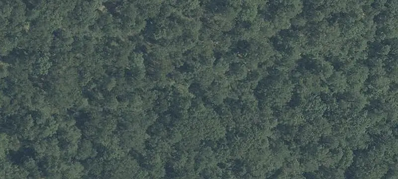 Vacant Commercial Land