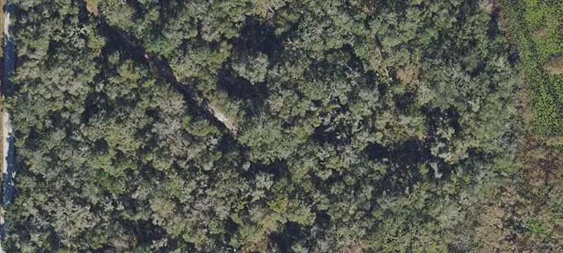 Lots/Land