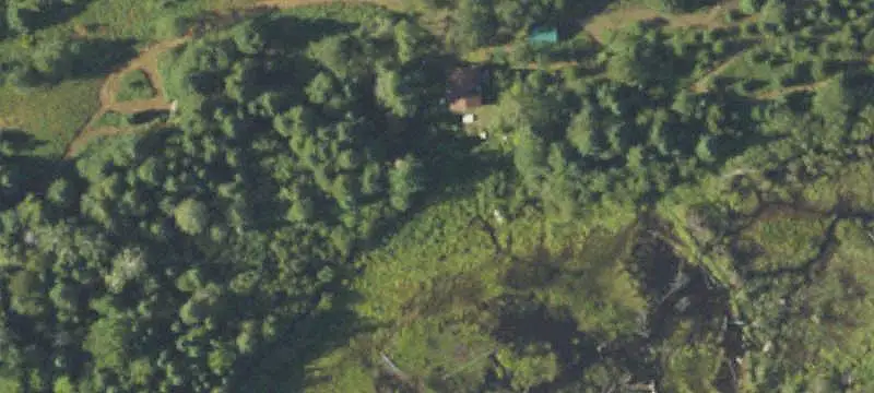 Forested Land Parcel
