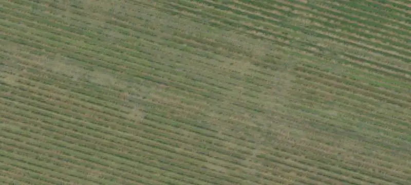 Agricultural Land with Mixed-Use Buildings