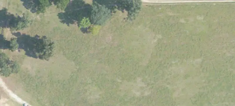Improved Pasture Farm with Equestrian Facilities