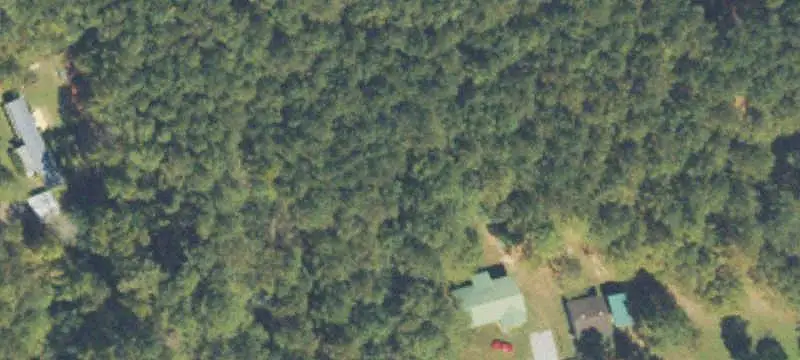 Minkara Pullet Farm