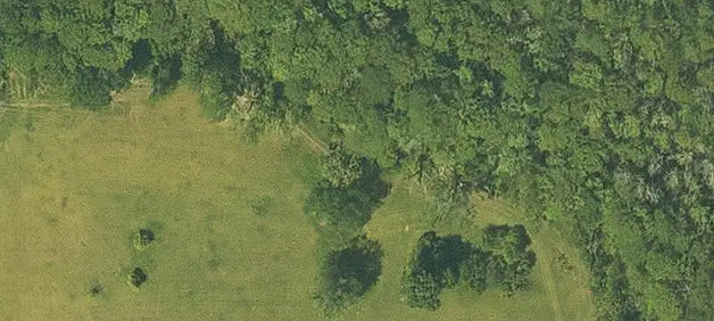 Fenced Agricultural Land with Improvements