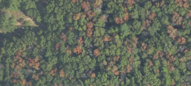 Unimproved Land