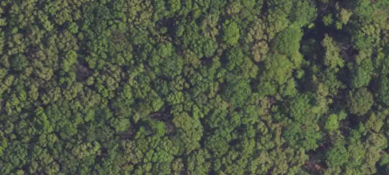 Unimproved Land